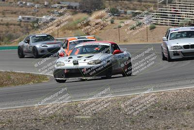 media/May-03-2025-Lucky Dog Racing (Sat) [[206de64b9d]]/Turn 4 B (1150am-130pm)/